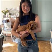 Native tutor with over 3 years of experience tutoring English and Maths from reception to GCSE.